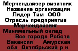 Мерчендайзер-визитник › Название организации ­ Лидер Тим, ООО › Отрасль предприятия ­ Мерчендайзинг › Минимальный оклад ­ 23 000 - Все города Работа » Вакансии   . Амурская обл.,Октябрьский р-н